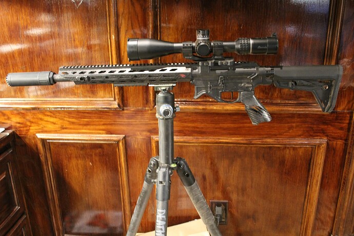 Fierce Sidewinder 223 Wylde Burris Veracity PH4-20x50