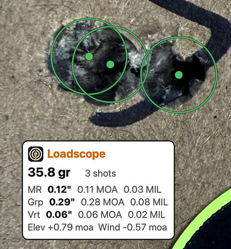 6gt 109 berger H4350 Lapua cci450 35.8g Resized